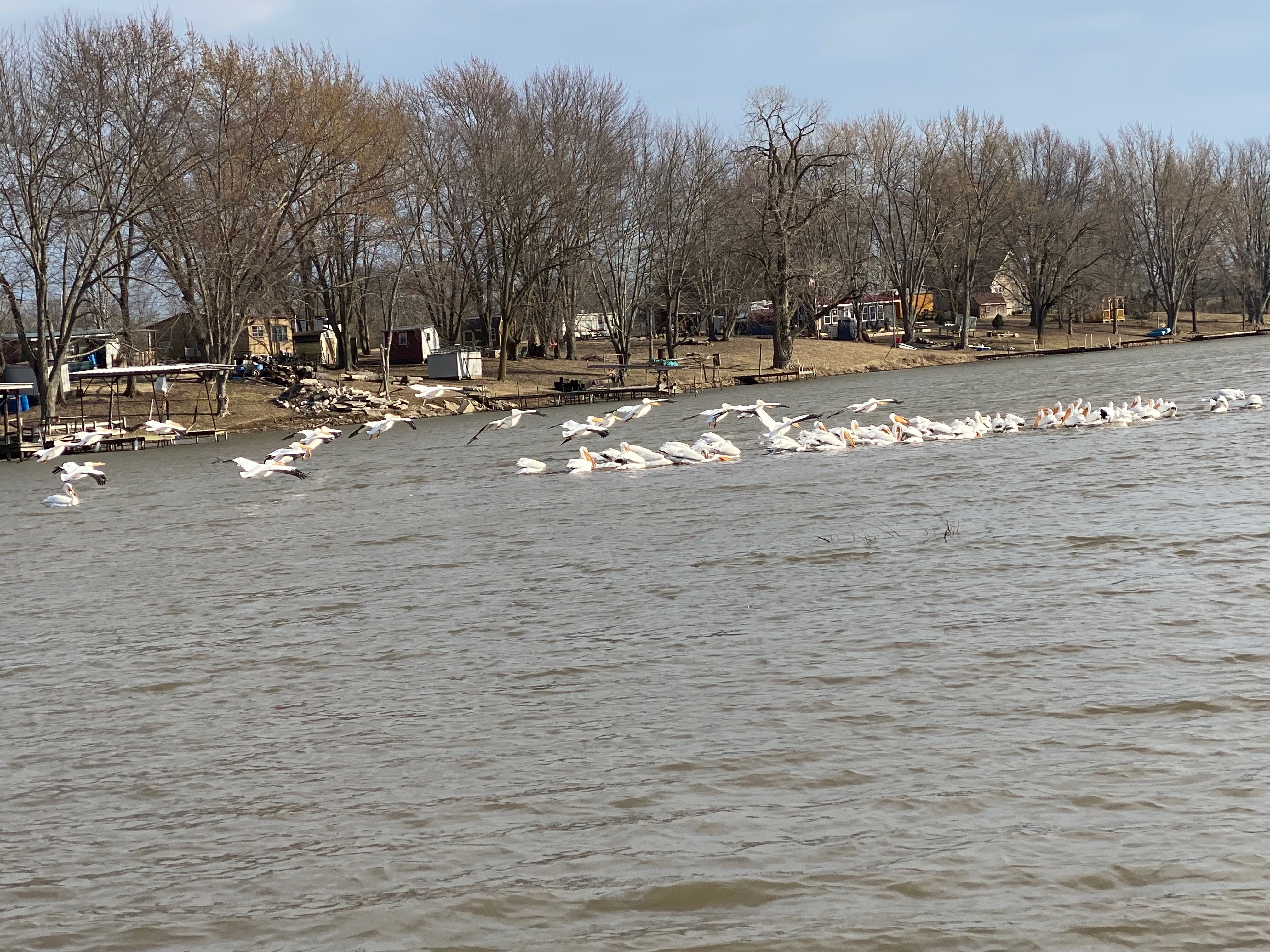 Group of volunteers working together on a shoreline cleanup